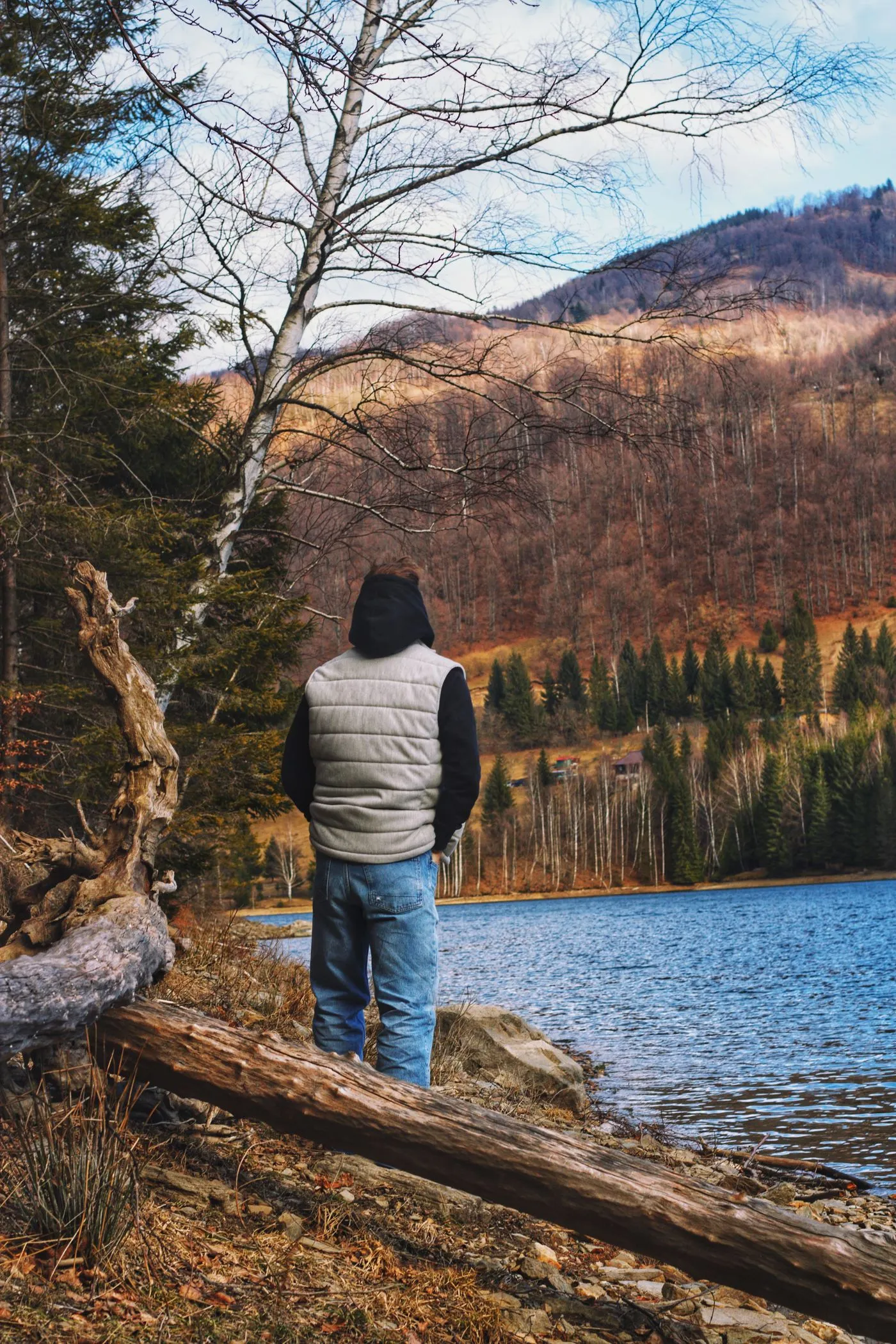 A gray quilted vest seen from behind, standing in for the Venustas Men's Classic Heated Vest 7.4V