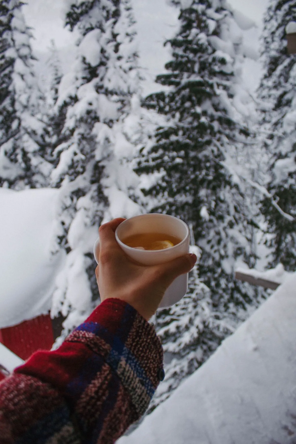 A hand holding a hot drink in the snow, standing in for the Cinder Twin Rechargeable Hand Warmers